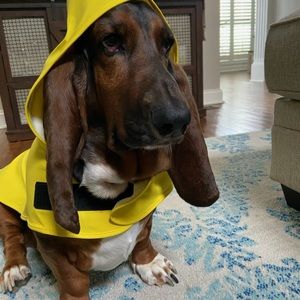 Meet your Posher, Greg